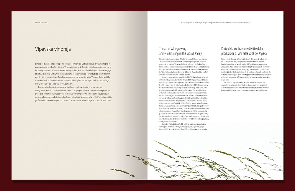 Vipavska - uvodne strani