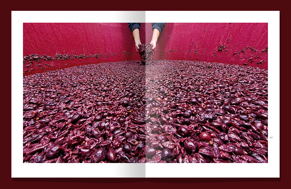 Vipavska - fotografske strani